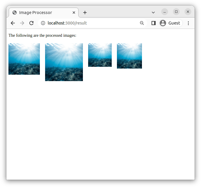 Screencapture of a page with some of the images and a message that reads "The following are the processed images:"