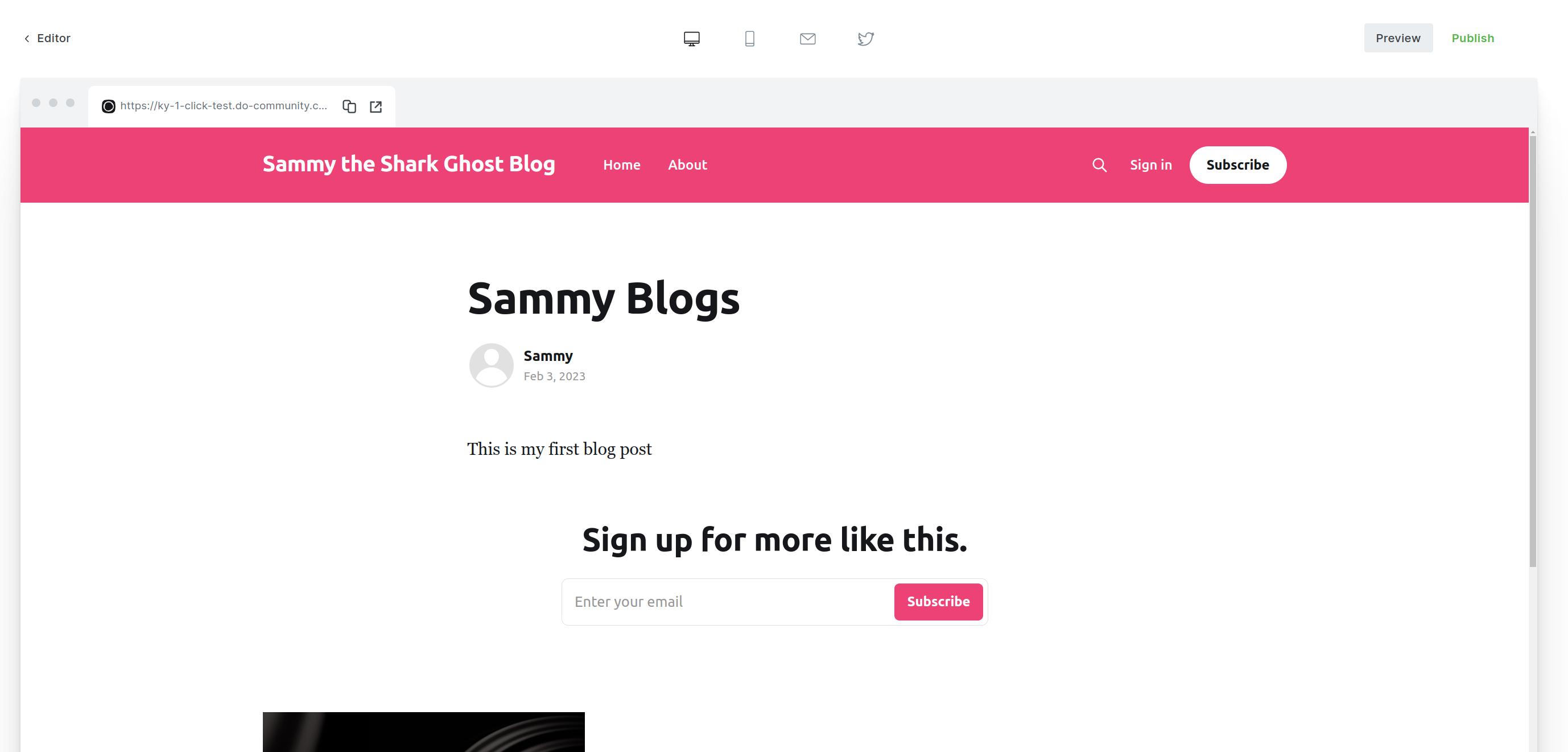 A preview of your post.