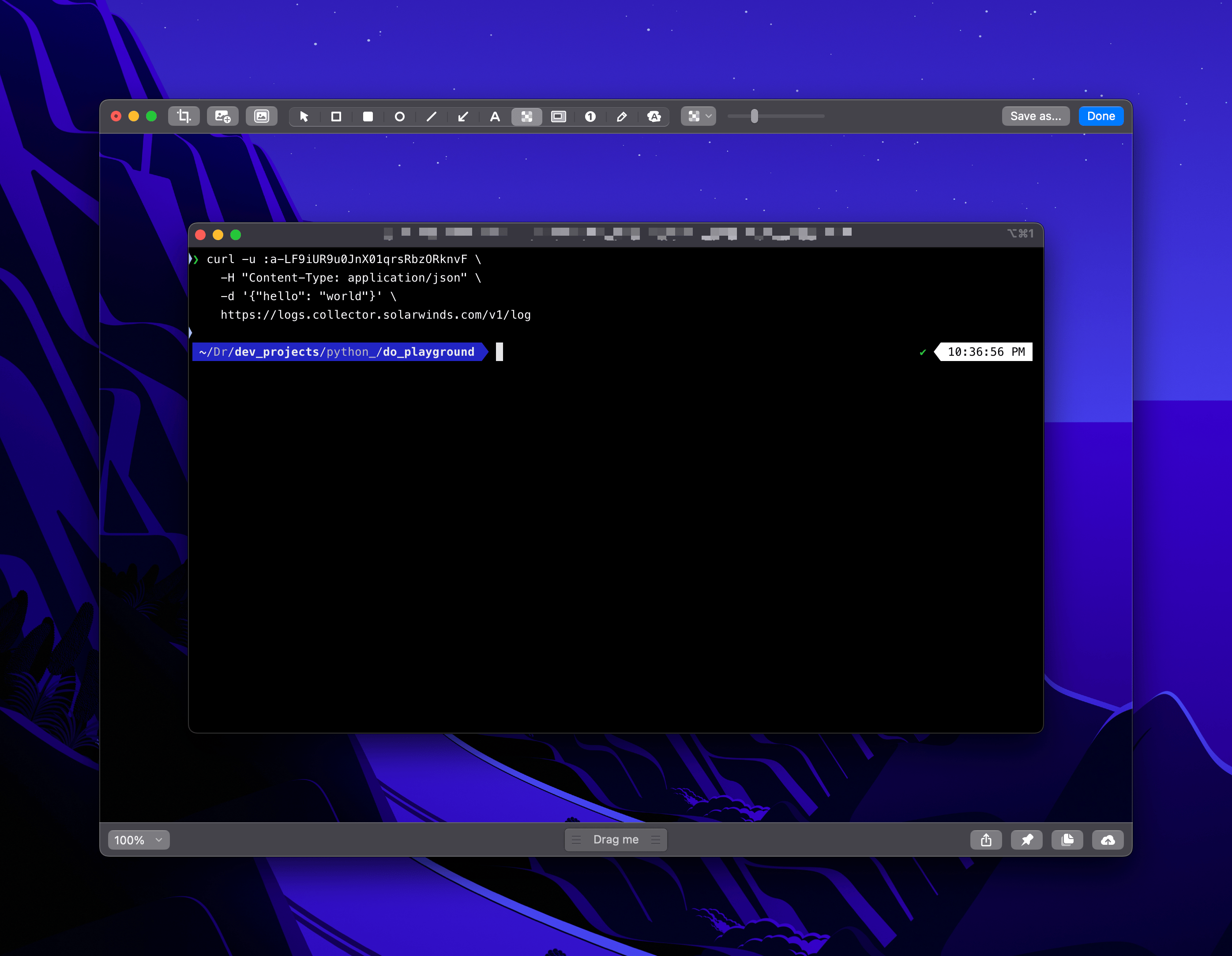 terminal_curl_papertrail_test