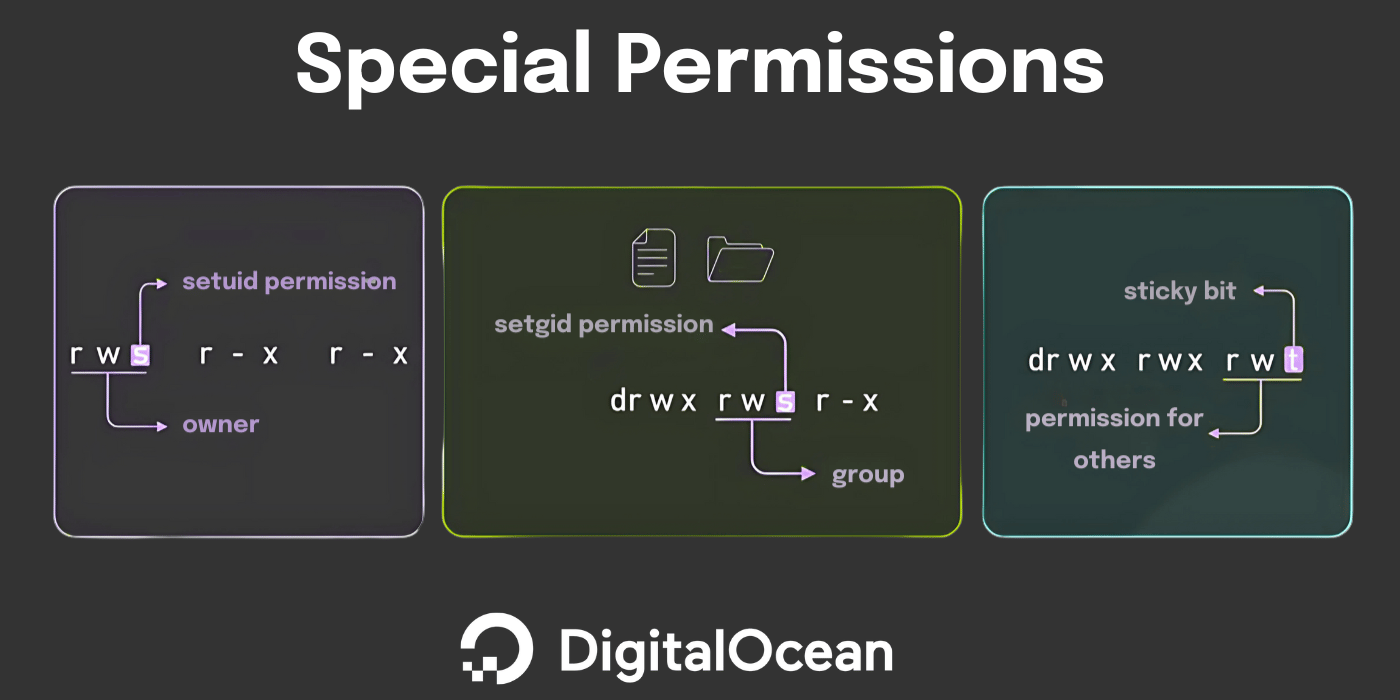 Special permissions