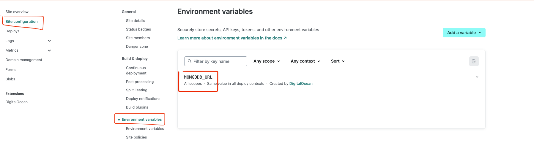Env variable