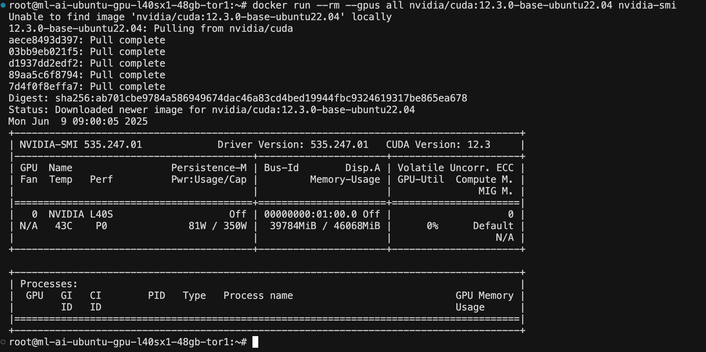 docker_nvidia_smi