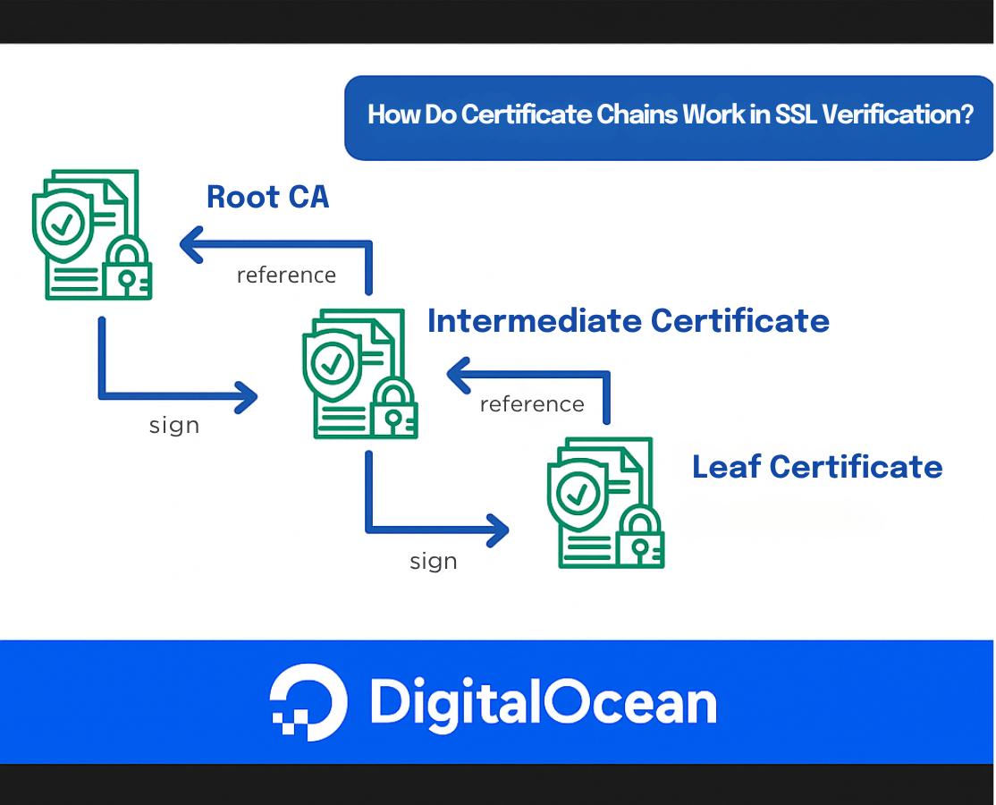 Certificate chain