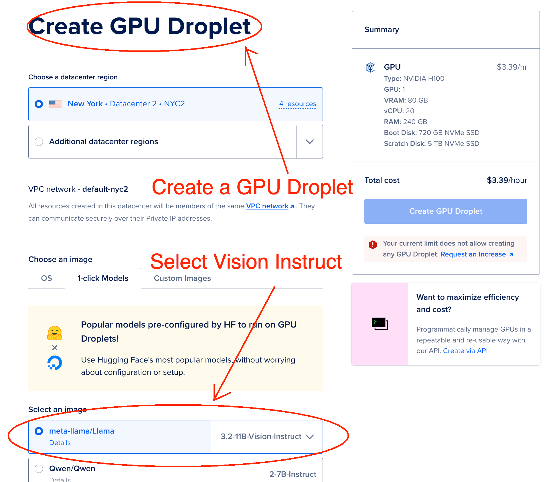 Deploy the Vision Instruct Model