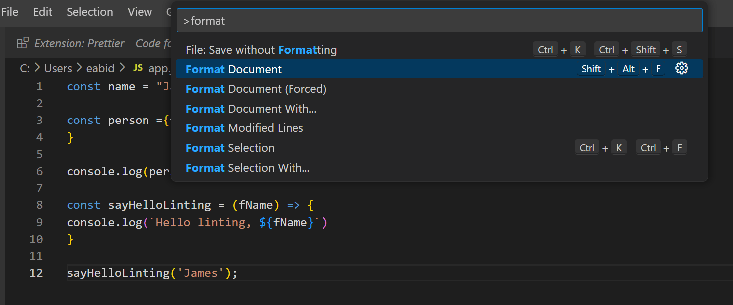 Command palette opened with results for format