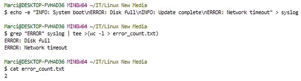 Find lines containing ``ERROR'' and check the terminal for the error messages (output from grep).