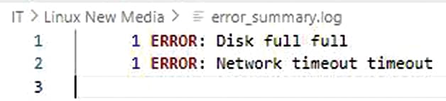 View the generated error summary log.