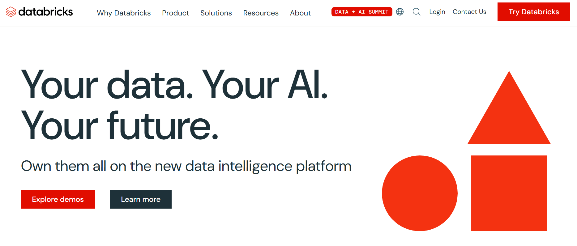 Databricks image