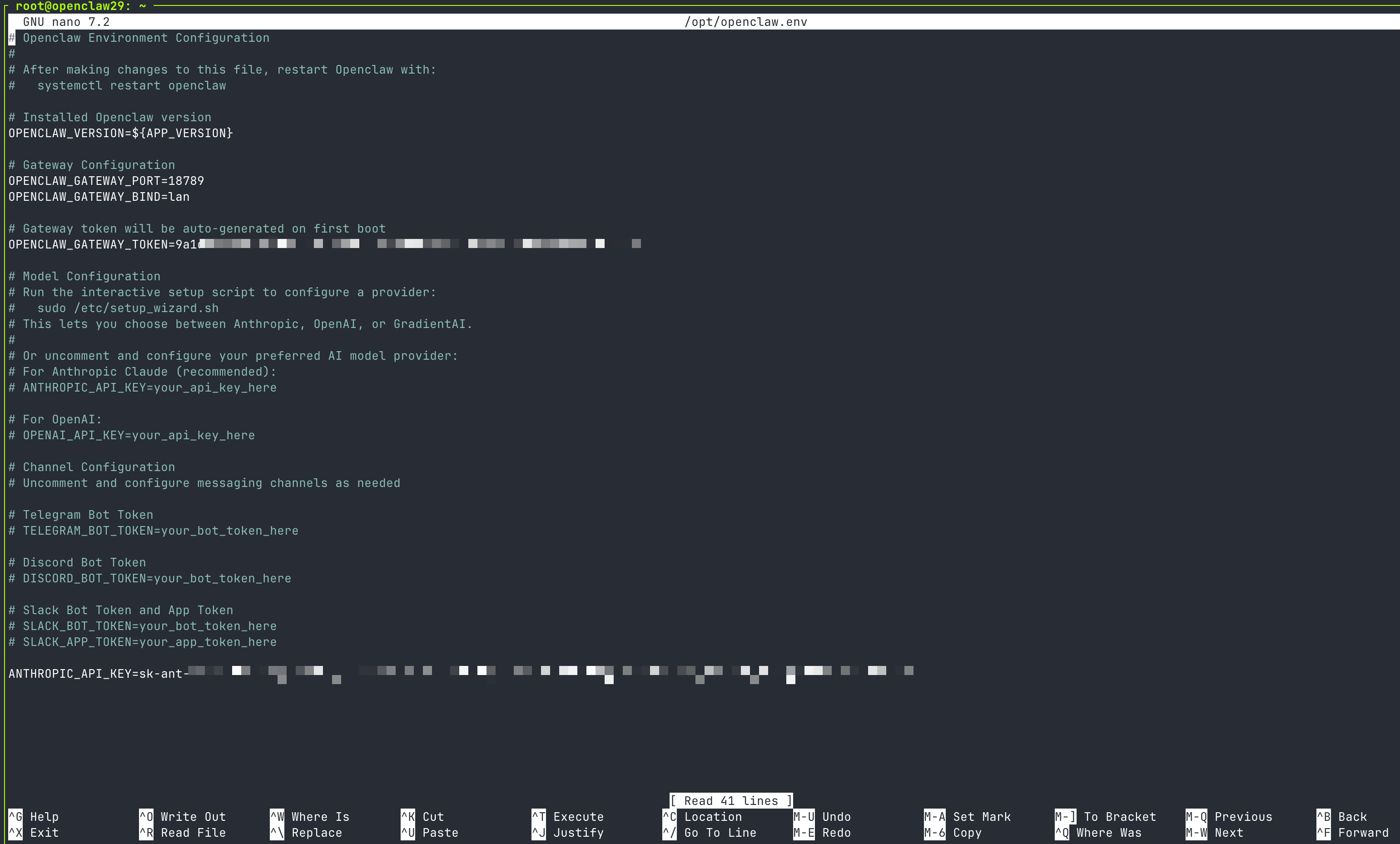 Set enviornment variables