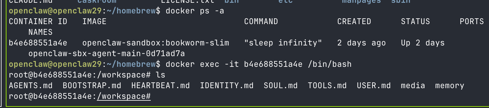 Viewing the Sandbox Files