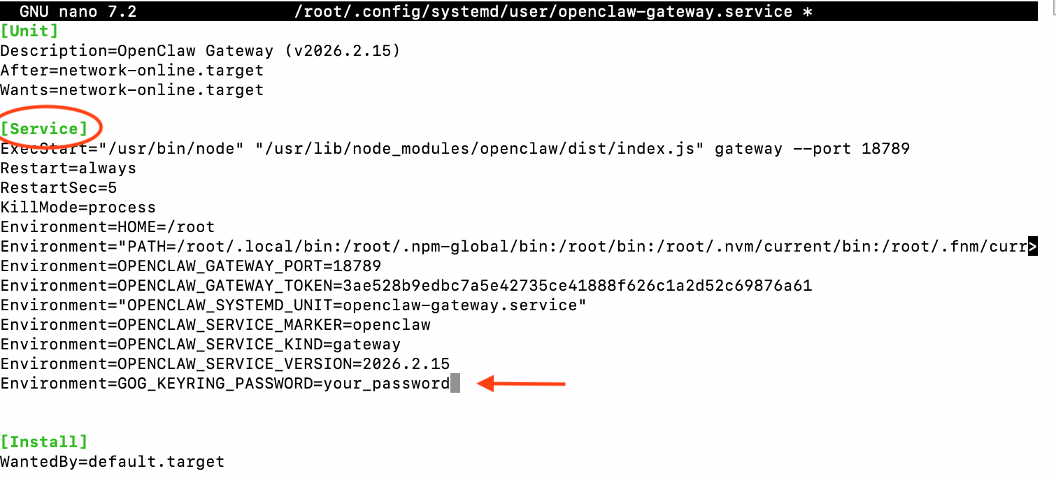 System service configuration file showing the Service section with Environment variable being added