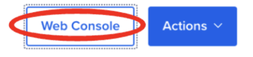 web console