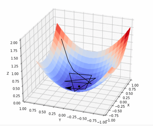 Using too large a learning rate