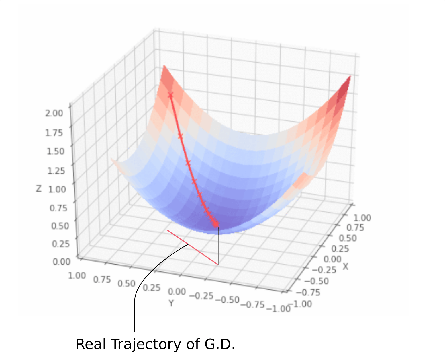 Real Gradient Descent Trajectory