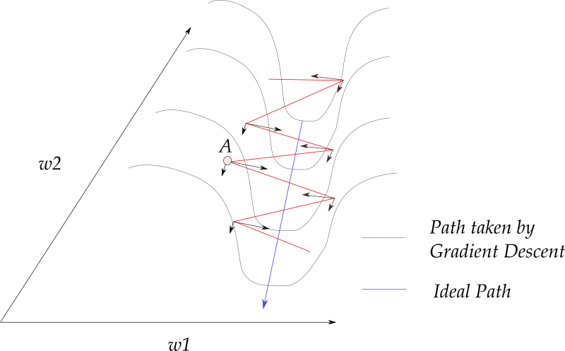 gradient descent path ideal path comparison