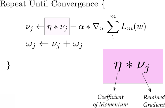 gradient update momentum