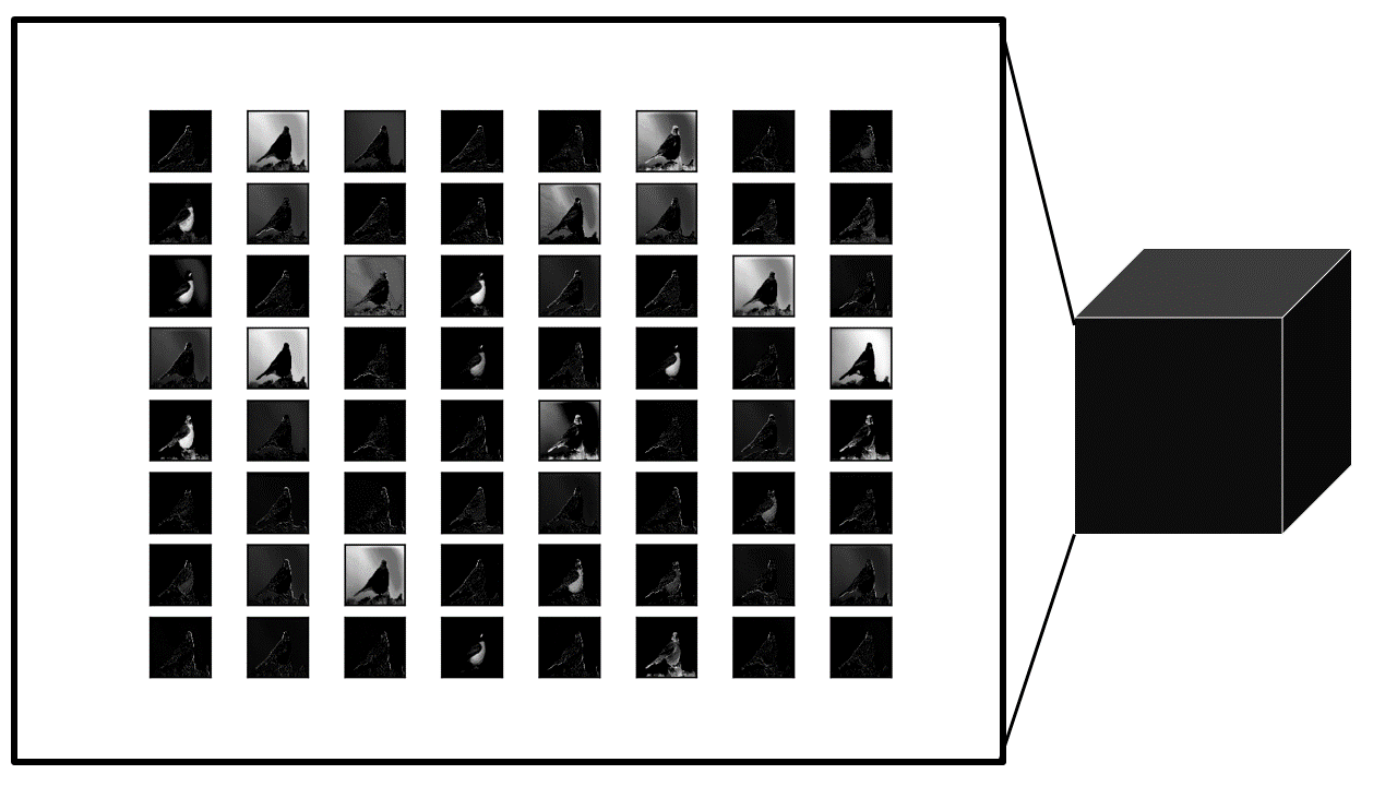 Feature maps represented as a tensor