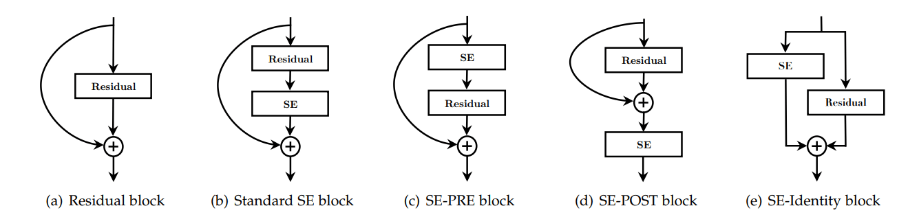 SE block integration designs explored in the ablation study.