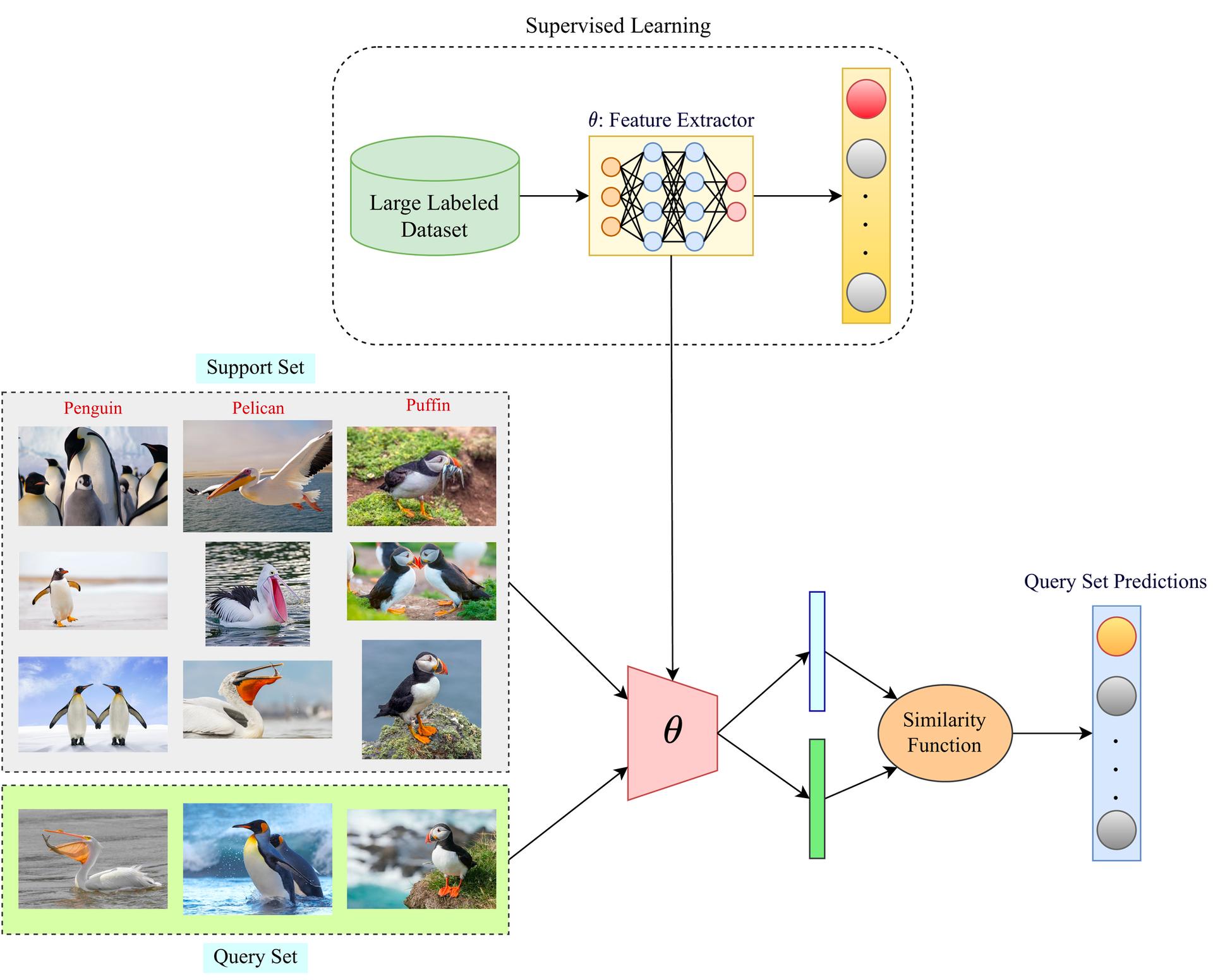 Everything you need to know about Few-Shot Learning