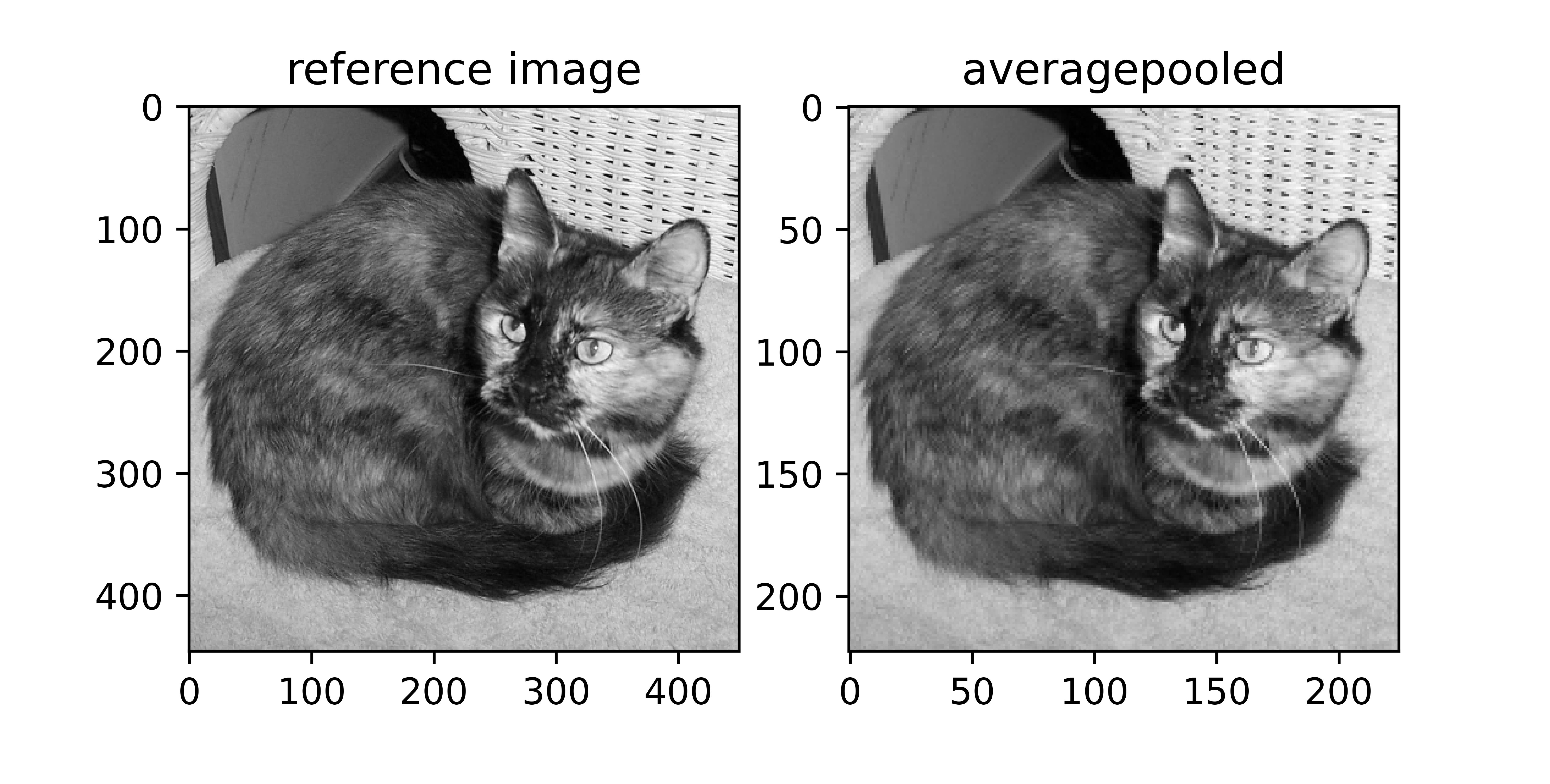 Producing an average pooled representation.