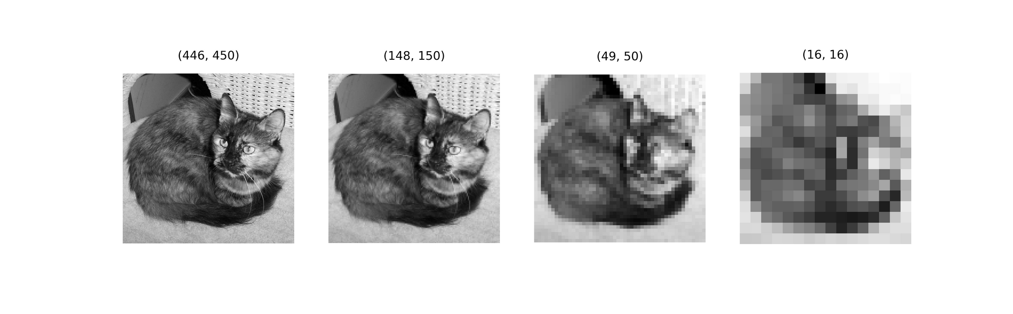 Reference image through 3 iterations of average pooling using a (3, 3) kernel.