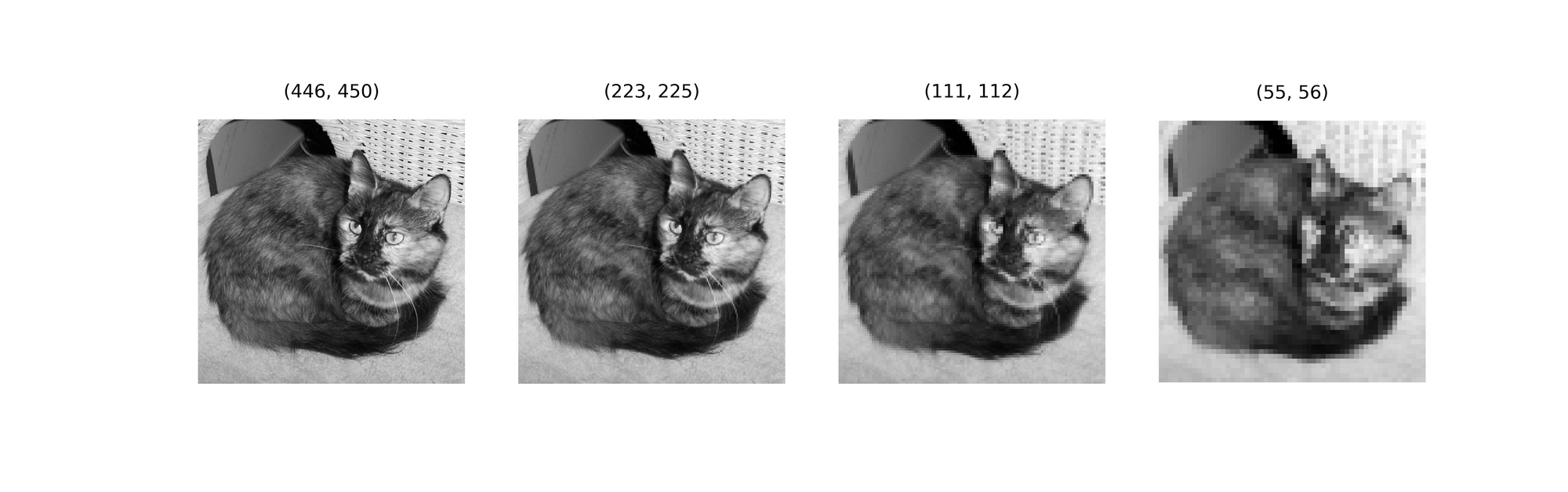 Reference image through 3 iterations of average pooling using a (2, 2) kernel.