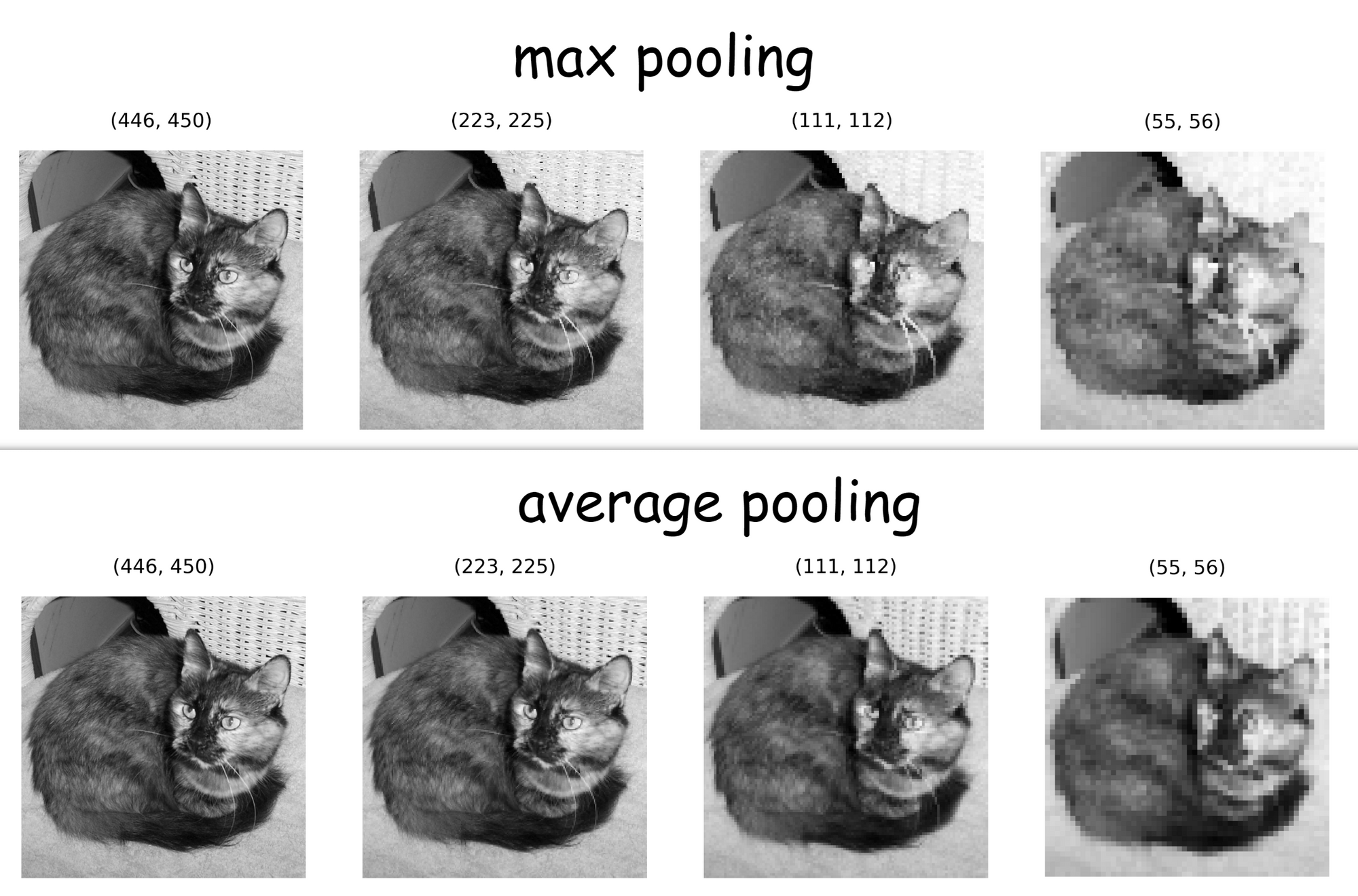 Comparing representations produced using both methods.