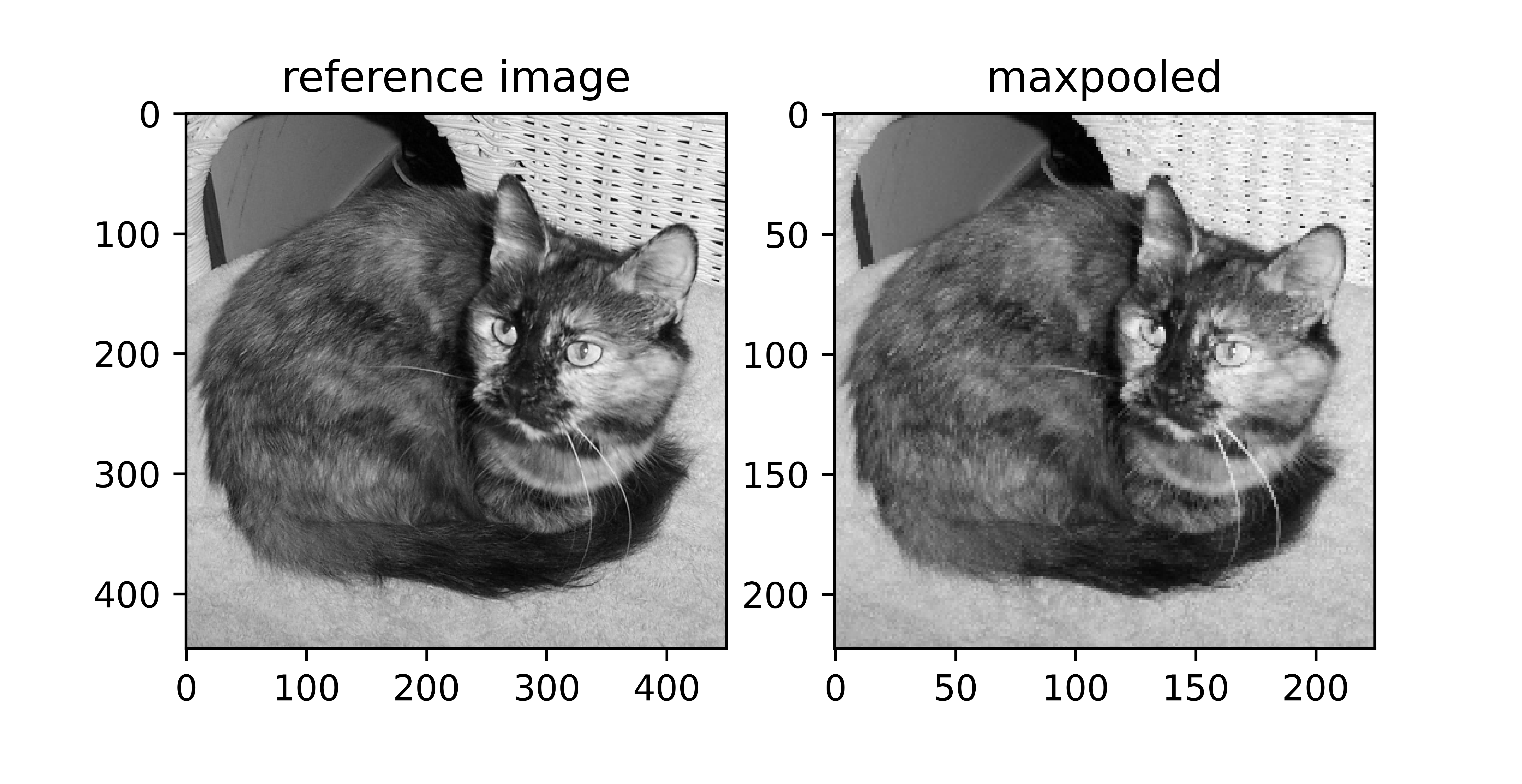 Producing a max pooled representation