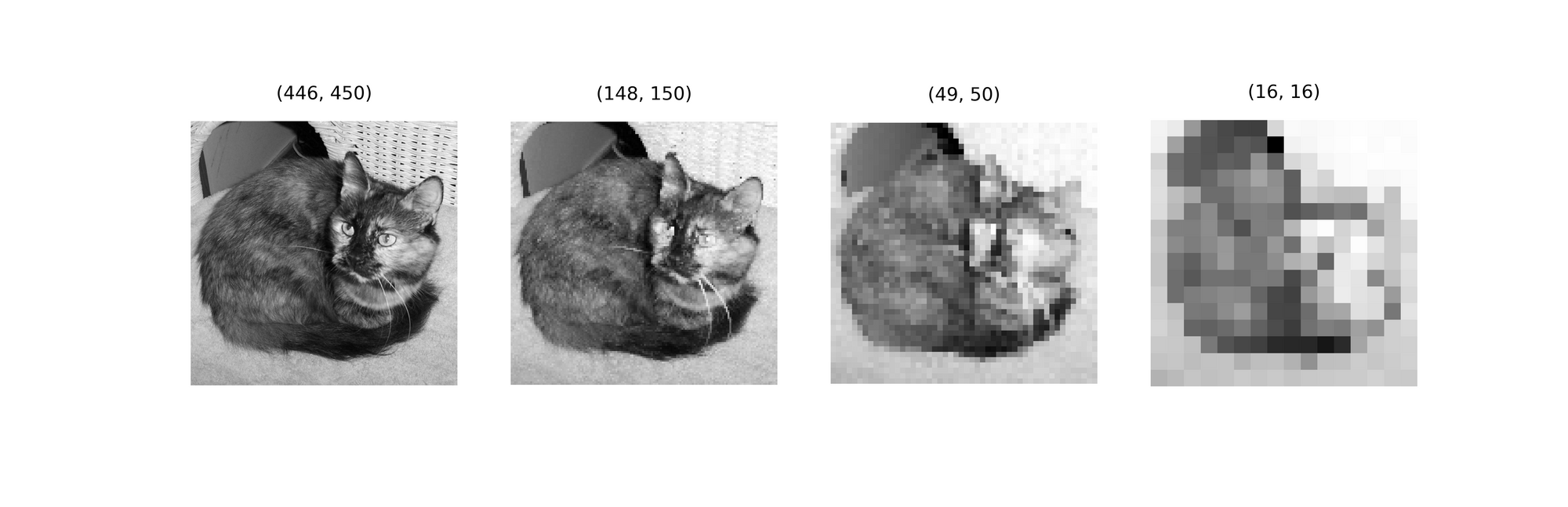 Reference image through 3 iterations of max pooling using a (3, 3) kernel.
