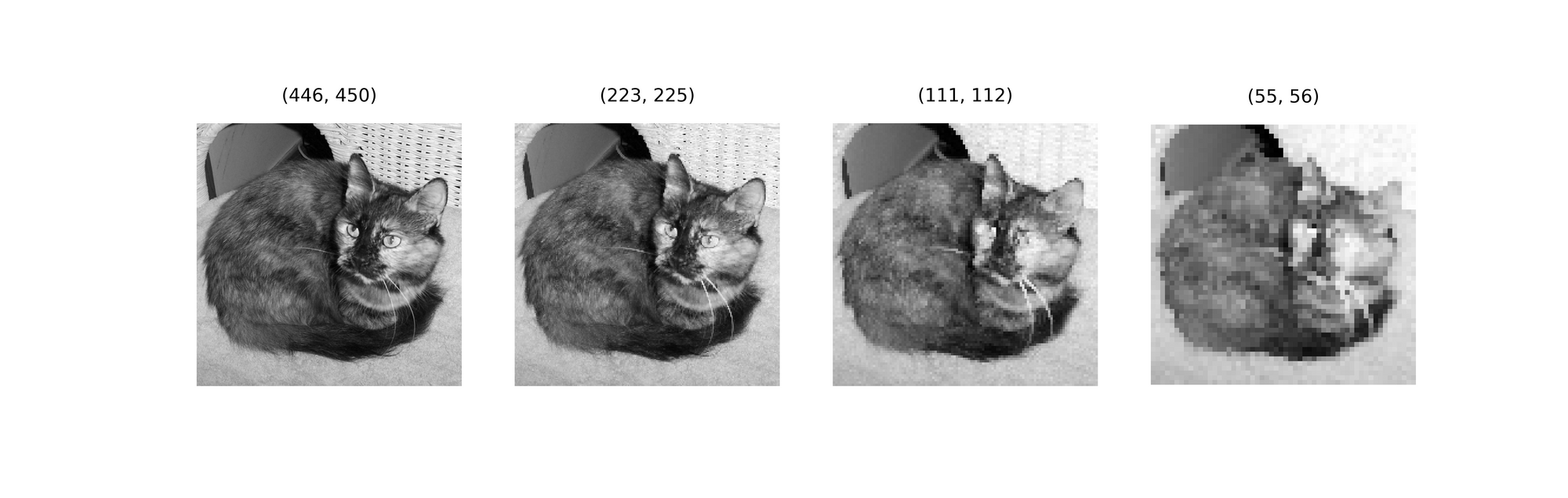 Reference image through 3 progressive iterations of max pooling using a (2, 2) kernel.