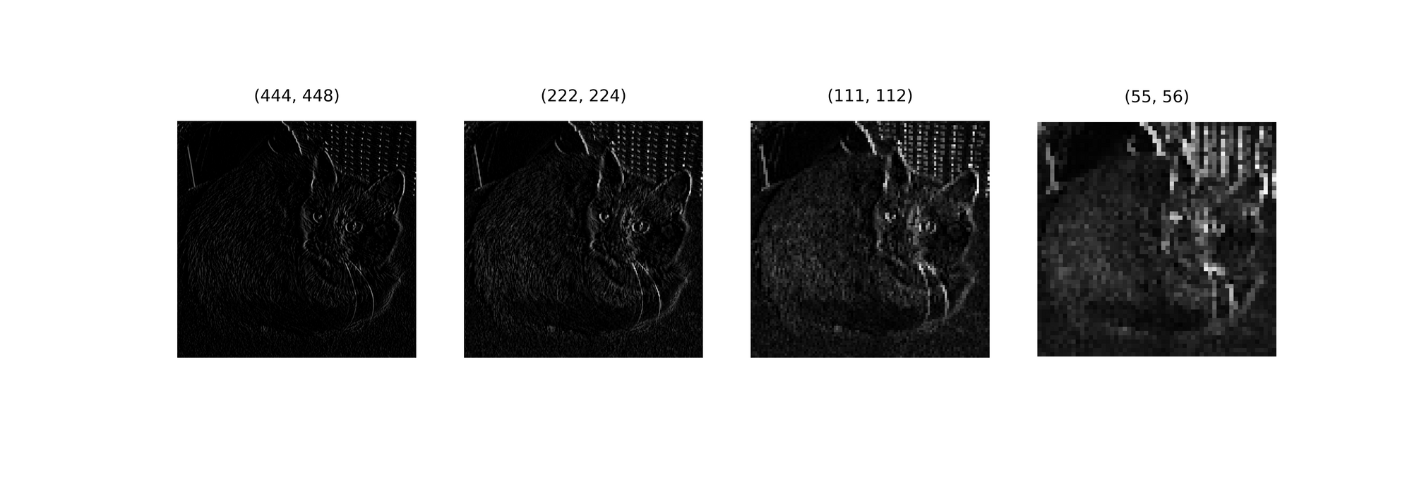 Max pooling over detected edges.