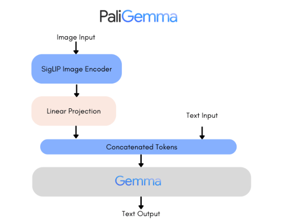 PaliGemma Architecture