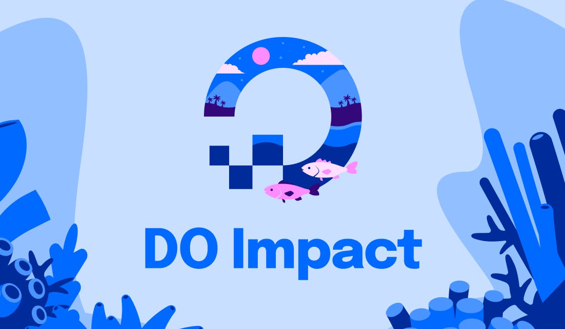 A look back at the second official year of DO Impact
