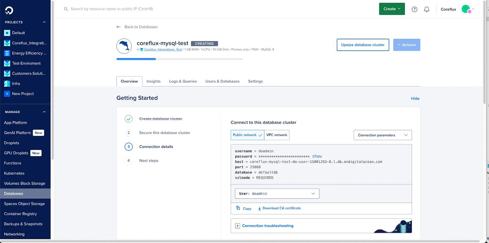 MySQL public and VPC connection details