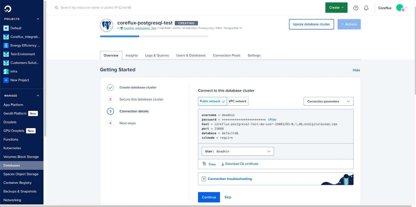 PostgreSQL public and VPC connection details