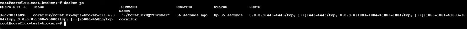Running Coreflux container in Docker