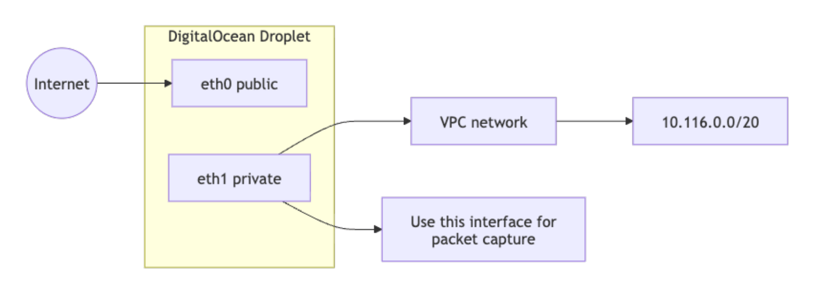 Diagram showing a DigitalOcean Droplet with public eth0, private eth1, VPC network, and packet capture on the private interface.