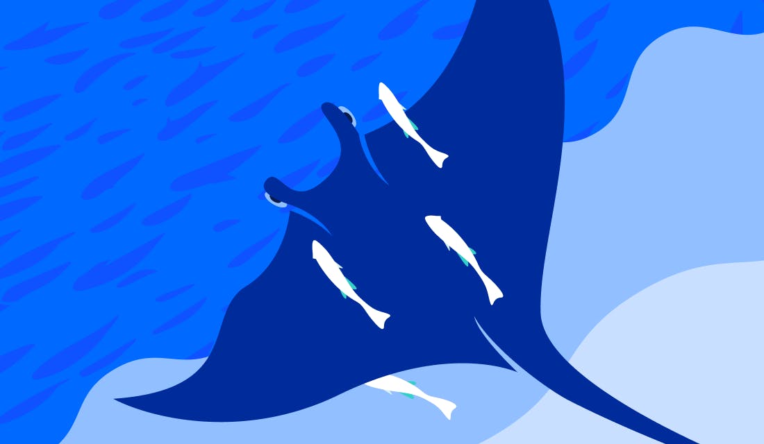 Introducing new enhanced features for DigitalOcean Support Plans
