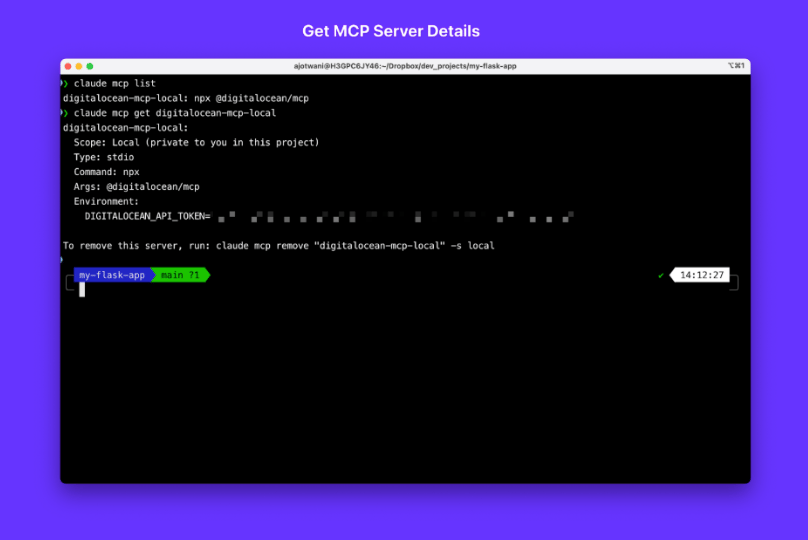 Get MCP server details