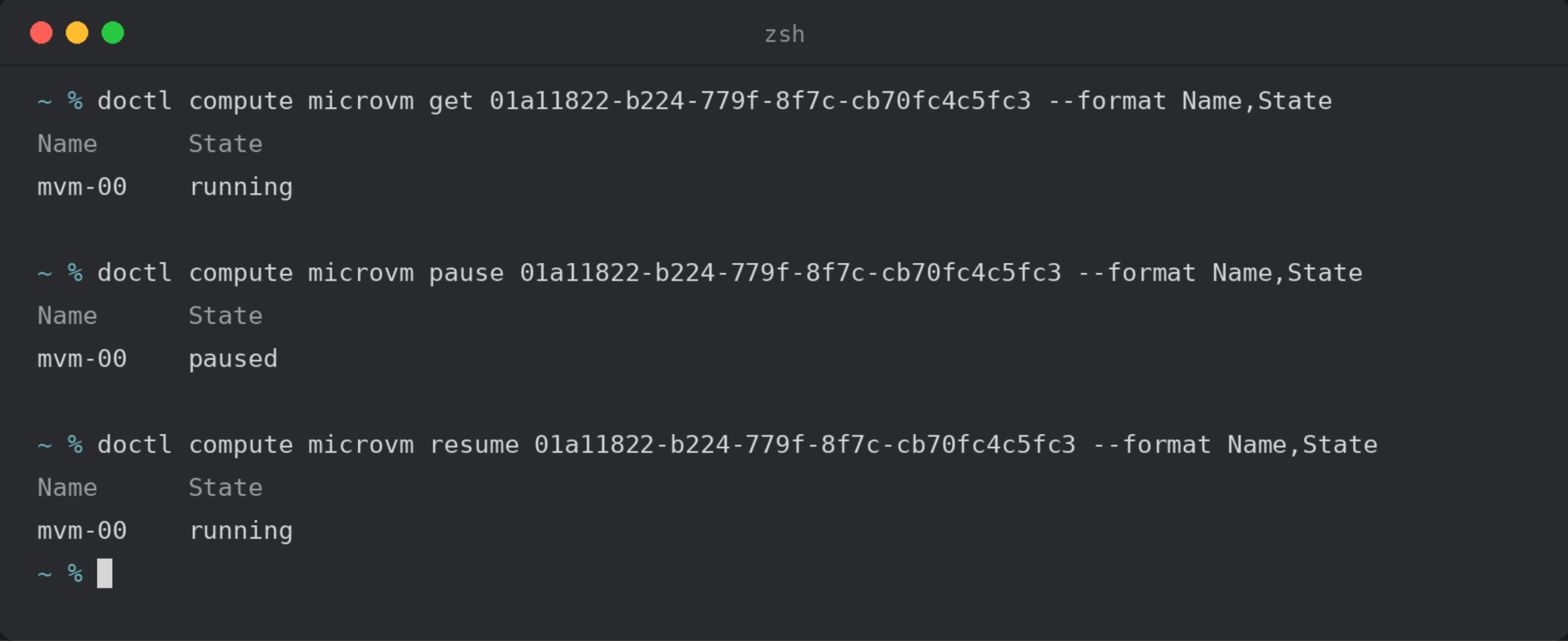 MicroVM paus