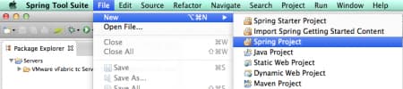 Spring MVC, Spring MVC Project, Spring MVC Example