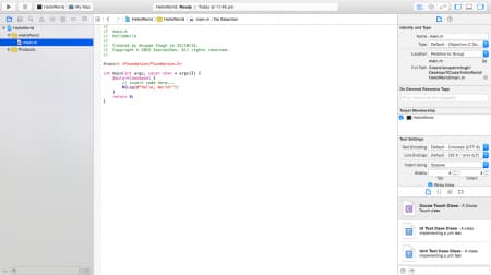 objective-c-main-interface