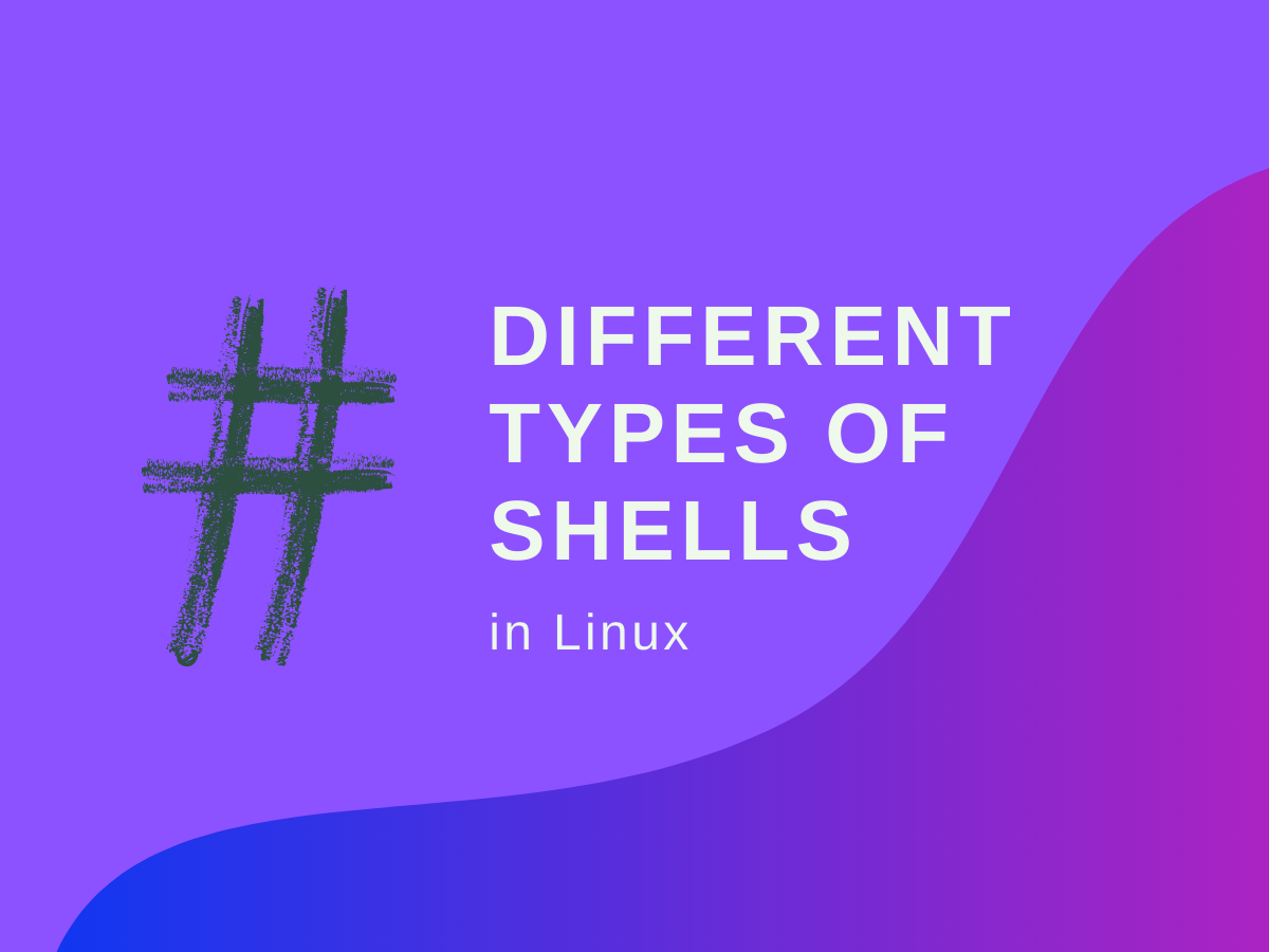 What are the Different Types of Shells in Linux?