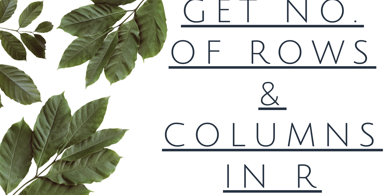Get the number of rows and columns in R