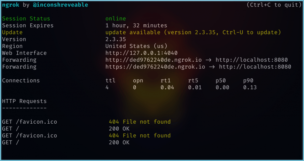 Port Forwarding With Ngrok